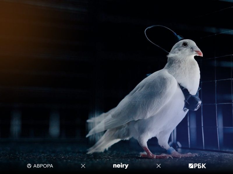 Нейротехнологии: почему это новый интернет